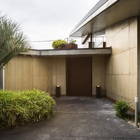 Tadao Ando Loyola